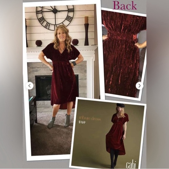 Cabi 3696 Grace Tribute Crushed Velvet Dress
Short Sleeves High Low Hem Sz Large - Picture 5 of 16